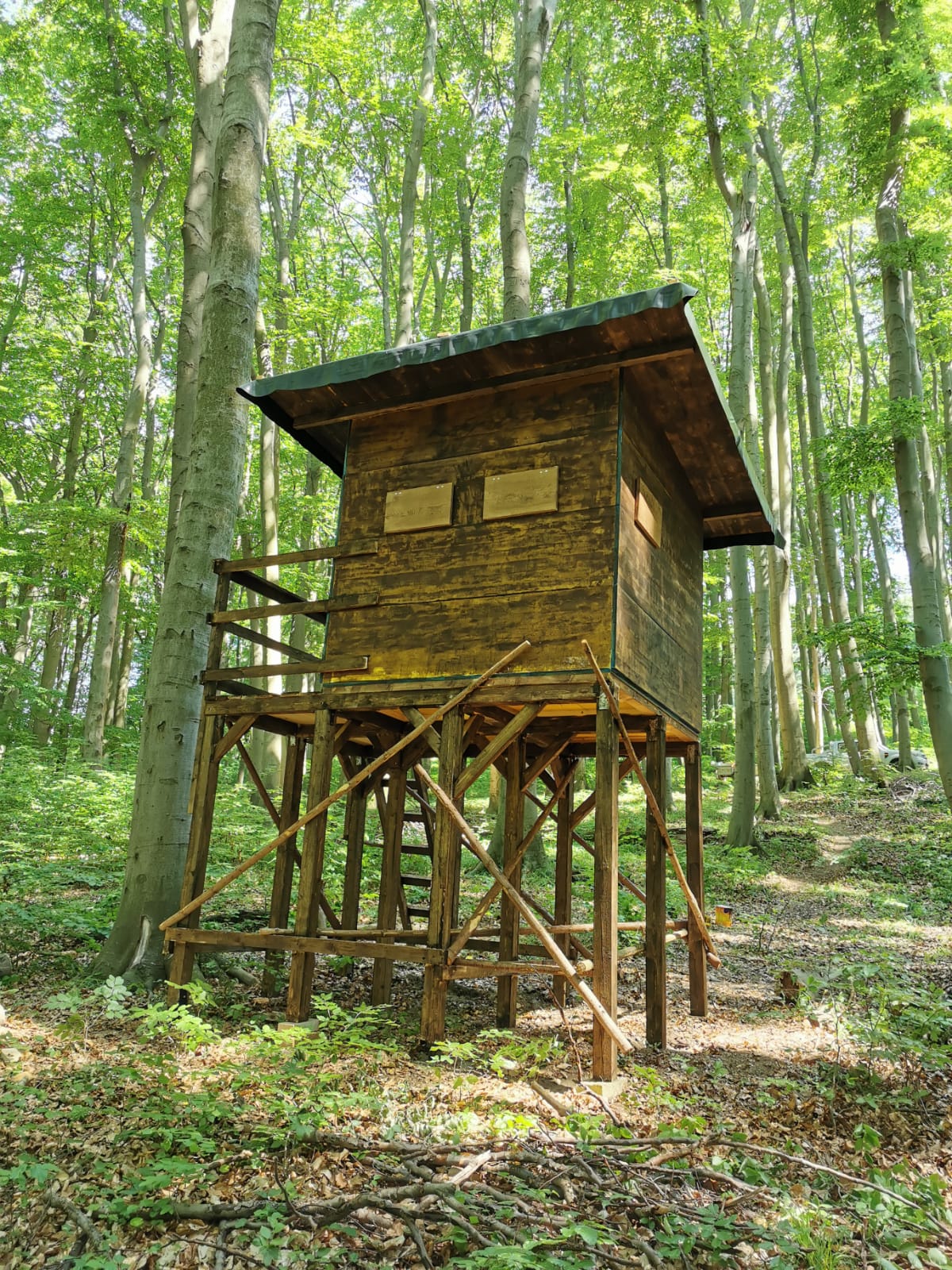 Natur im Revier